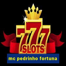 mc pedrinho fortuna